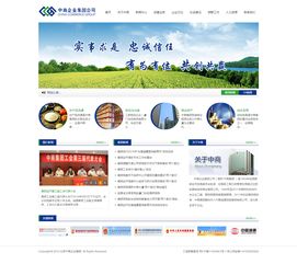 企業(yè)展示型響應式網(wǎng)站建設指南 專業(yè)設計與高效制作